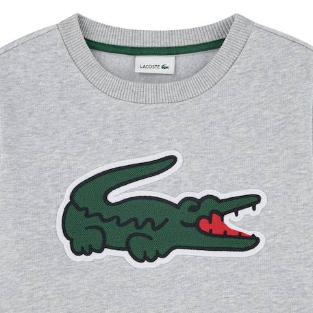 Sweatshirt enfant en coton Gris chiné+Noir foncé 5 - vertbaudet enfant 