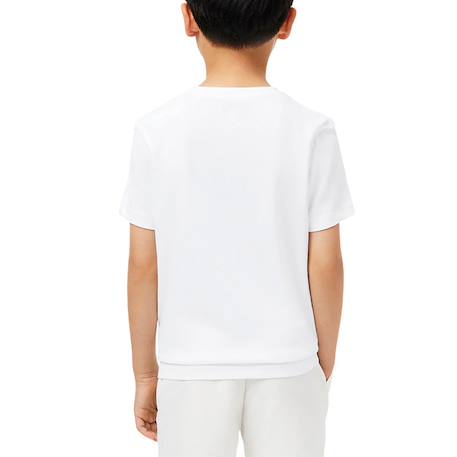 Tee-shirt enfant en coton Blanc, vert+Bleu ciel, vert+Marine, vert+Noir, vert 3 - vertbaudet enfant 