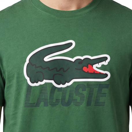 Tee-shirt enfant en coton Blanc, vert+Marine, blanc+Vert, blanc 10 - vertbaudet enfant 