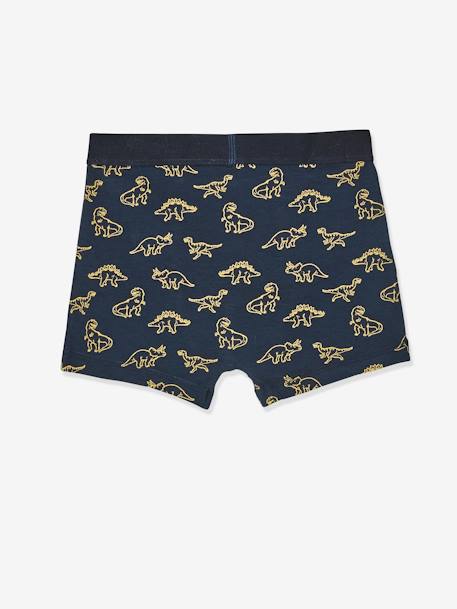 Lot de 5 boxers stretch garçon Dino LOT 5 7 - vertbaudet enfant 