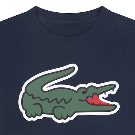 Tee-shirt enfant en coton Blanc, vert+Bleu ciel+Bleu ice+Marine+Noir, vert 15 - vertbaudet enfant 