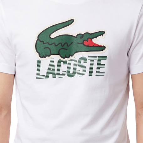 Tee-shirt enfant en coton Blanc, vert+Marine, blanc+Vert, blanc 4 - vertbaudet enfant 