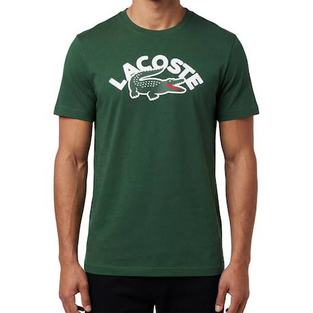 Tee-shirt enfant en coton Blanc, vert+Marine, blanc, vert+Vert, blanc 12 - vertbaudet enfant 