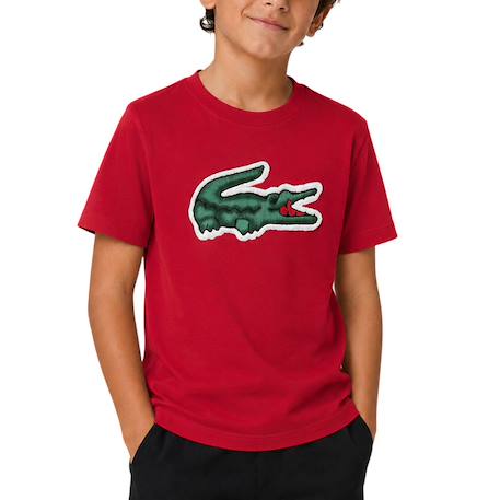 Tee-shirt enfant en coton Blanc, vert+Rouge, vert 9 - vertbaudet enfant 