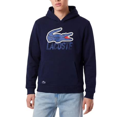 Sweatshirt garçon en coton Gris chiné, rouge+Marine, bleu+Noir, vert 6 - vertbaudet enfant 