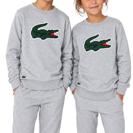 Sweatshirt enfant en coton Gris chiné+Noir foncé 3 - vertbaudet enfant 