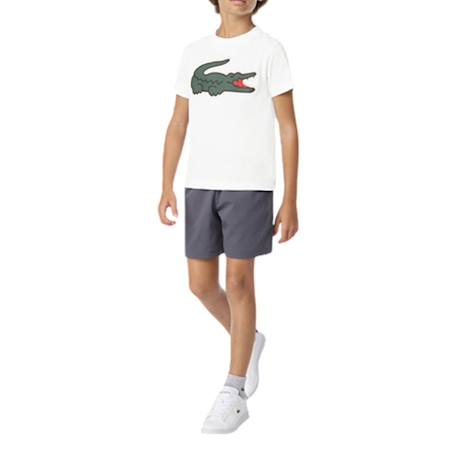 Tee-shirt enfant en coton Blanc, vert+Bleu ciel+Bleu ice+Marine+Noir, vert 4 - vertbaudet enfant 