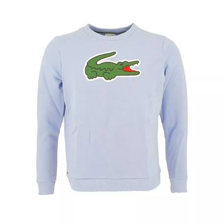 Garçon-Pull, gilet, sweat-Sweatshirt enfant en coton