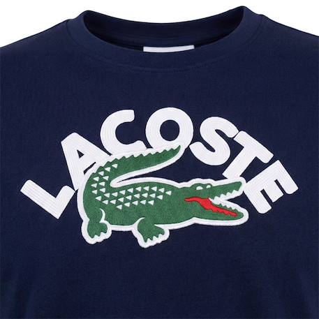 Tee-shirt enfant en coton Blanc, vert+Marine, blanc, vert+Vert, blanc 9 - vertbaudet enfant 