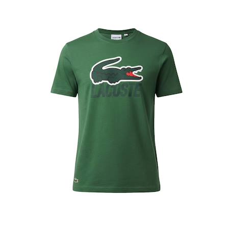 Tee-shirt enfant en coton Blanc, vert+Marine, blanc+Vert, blanc 8 - vertbaudet enfant 