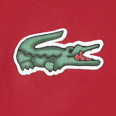 Tee-shirt enfant en coton Blanc, vert+Rouge, vert 11 - vertbaudet enfant 