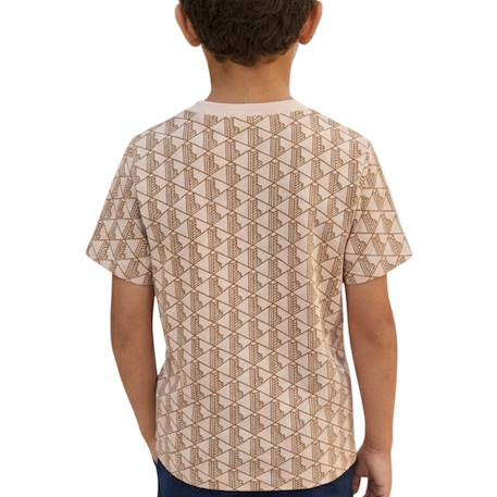 Tee-shirt enfant en coton Aral, vert+Beige, marron 7 - vertbaudet enfant 