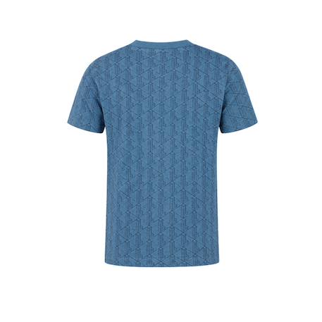 Tee-shirt enfant en coton Aral, vert+Beige, marron 2 - vertbaudet enfant 