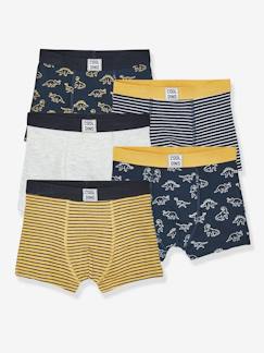 -Lot de 5 boxers stretch garçon Dino