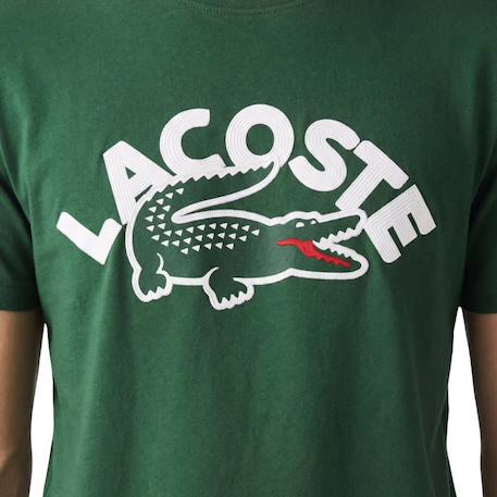 Tee-shirt enfant en coton Blanc, vert+Marine, blanc, vert+Vert, blanc 14 - vertbaudet enfant 