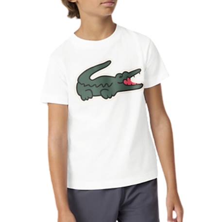 Tee-shirt enfant en coton Blanc, vert+Bleu ciel+Bleu ice+Marine+Noir, vert 2 - vertbaudet enfant 