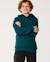Sweat à capuche search icon enfant Blue green+Noir+Walnut 1 - vertbaudet enfant 
