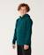 Sweat à capuche search icon enfant Blue green+Noir+Walnut 4 - vertbaudet enfant 