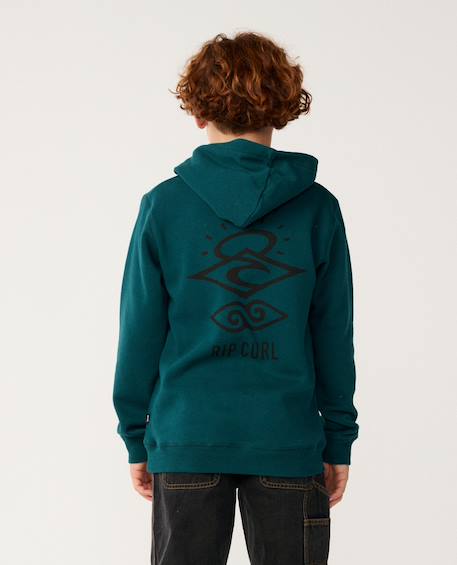 Sweat à capuche search icon enfant Blue green+Noir+Walnut 2 - vertbaudet enfant 