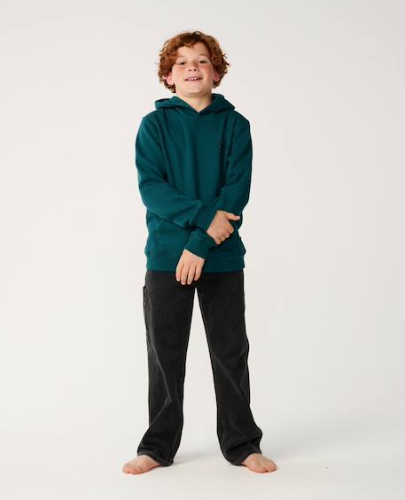 Sweat à capuche search icon enfant Blue green+Noir+Walnut 5 - vertbaudet enfant 