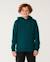 Sweat à capuche search icon enfant Blue green+Noir+Walnut 3 - vertbaudet enfant 