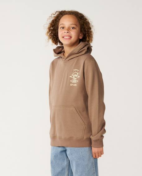 Sweat à capuche search icon enfant Blue green+Noir+Walnut 16 - vertbaudet enfant 