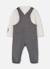 Ensemble bébé garçon imprimé pingouin Gris 3 - vertbaudet enfant 