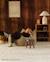 Fauteuil club pouf ado en teddy Biscuit+Warm hazel 2 - vertbaudet enfant 