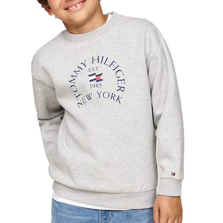 Sweat garçon col rond manches longues nautical Gris 2 - vertbaudet enfant 