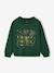 Sweat Harry Potter vert foncé 1 - vertbaudet enfant 