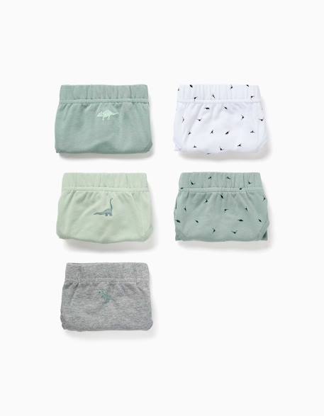 Lot de 5 slips en coton avec imprimés dinosaures  - vertbaudet enfant