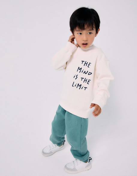 Garçon-Pull, gilet, sweat-Sweat en coton peigné à capuche avec imprimé