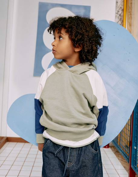 Sweat en coton avec capuche Vert 1 - vertbaudet enfant 