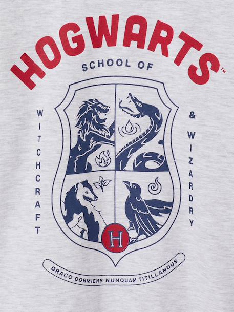 Pyjama manches longues garçon Harry Potter gris chiné 6 - vertbaudet enfant 