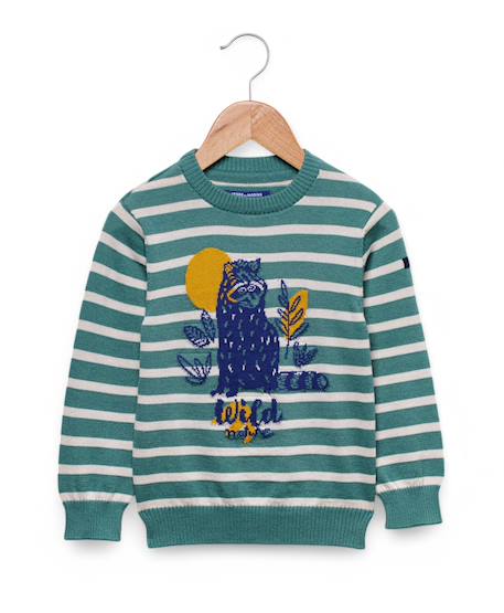 Garçon-Pull, gilet, sweat-Pull-Pull garçon