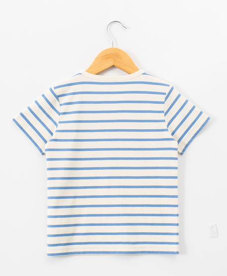 Mariniere manches courtes 100% coton garçon Fond grege raye bleu 3 - vertbaudet enfant 