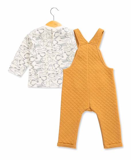 Ensemble salopette + haut bébé garçon Noix 2 - vertbaudet enfant 