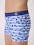Maillot de bain garçon Fond bleu raye blanc 2 - vertbaudet enfant 
