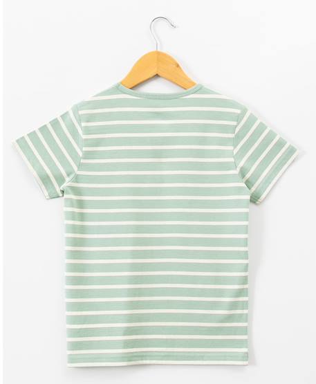 Mariniere manches courtes 100% coton garçon Fond vert raye grege 3 - vertbaudet enfant 