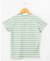 Mariniere manches courtes 100% coton garçon Fond vert raye grege 3 - vertbaudet enfant 