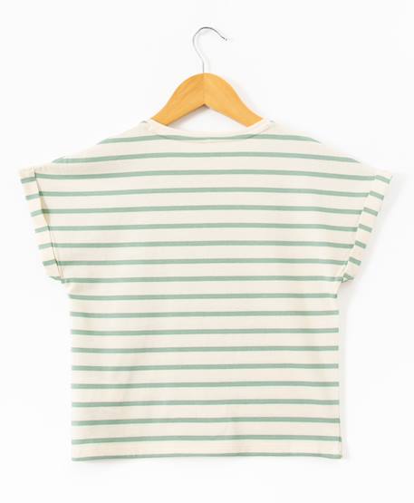 Mariniere manches courtes 100% coton fille Fond grege raye vert 3 - vertbaudet enfant 