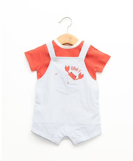 Bébé-Ensemble-Ensemble salopette + haut 100% coton bébé garçon