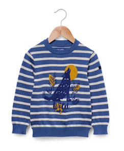 -Pull garçon