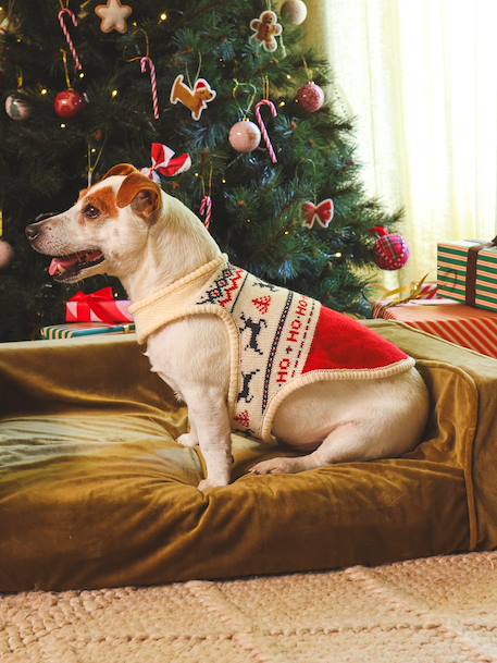 Pull de Noël pour chien rouge 2 - vertbaudet enfant 
