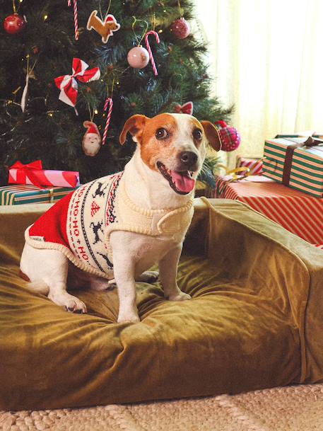 Pull de Noël pour chien rouge 3 - vertbaudet enfant 