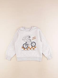 Seconde main-Garçon-Sweat - 6 ans