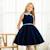 Robe fille en velours hepburn Bleu marine fleuri bleu ciel 1 - vertbaudet enfant 