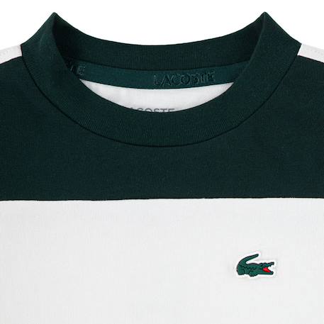 Tee-shirt enfant en coton Farine, vert foncé, fuchsia+Noir, gris, blanc 3 - vertbaudet enfant 