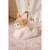 Peluche - peluche girly bag fashionista – chien chihuahua marron et beige avec sac et détails or – 18 cm Beige 5 - vertbaudet enfant 