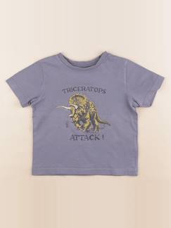 Seconde main-Garçon-Tee-shirt - 4 ans